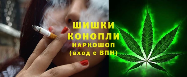 крисы Бронницы