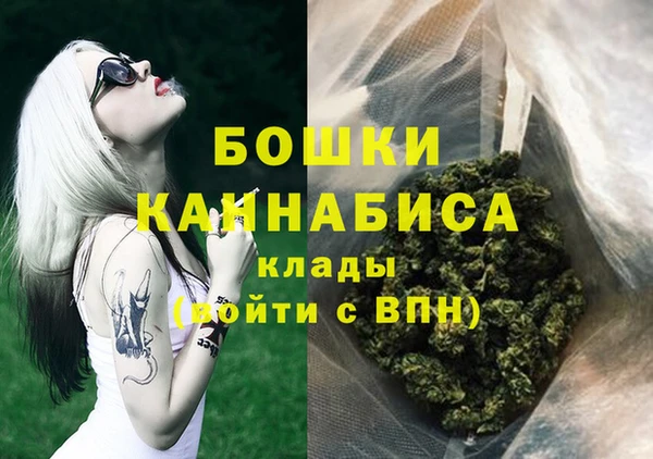 крисы Бронницы