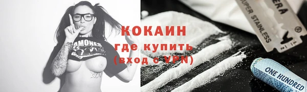 крисы Бронницы