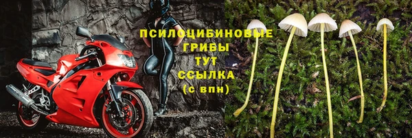 крисы Бронницы