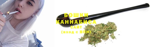стаф Россошь