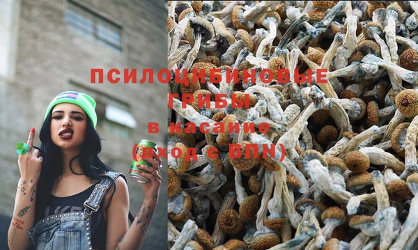 spice Бугульма