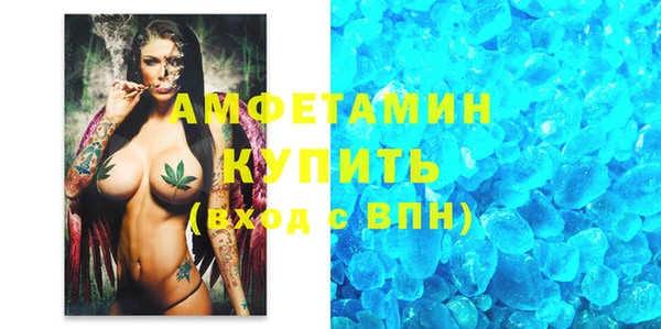 крисы Бронницы