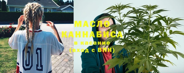 крисы Бронницы