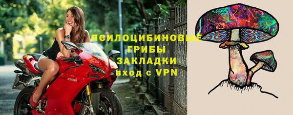 PSILOCYBIN Рославль