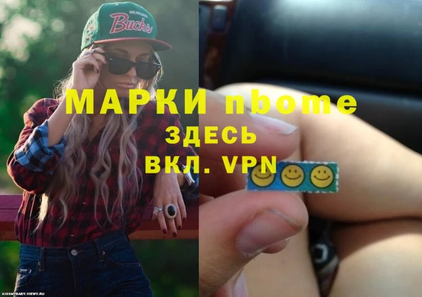 крисы Бронницы